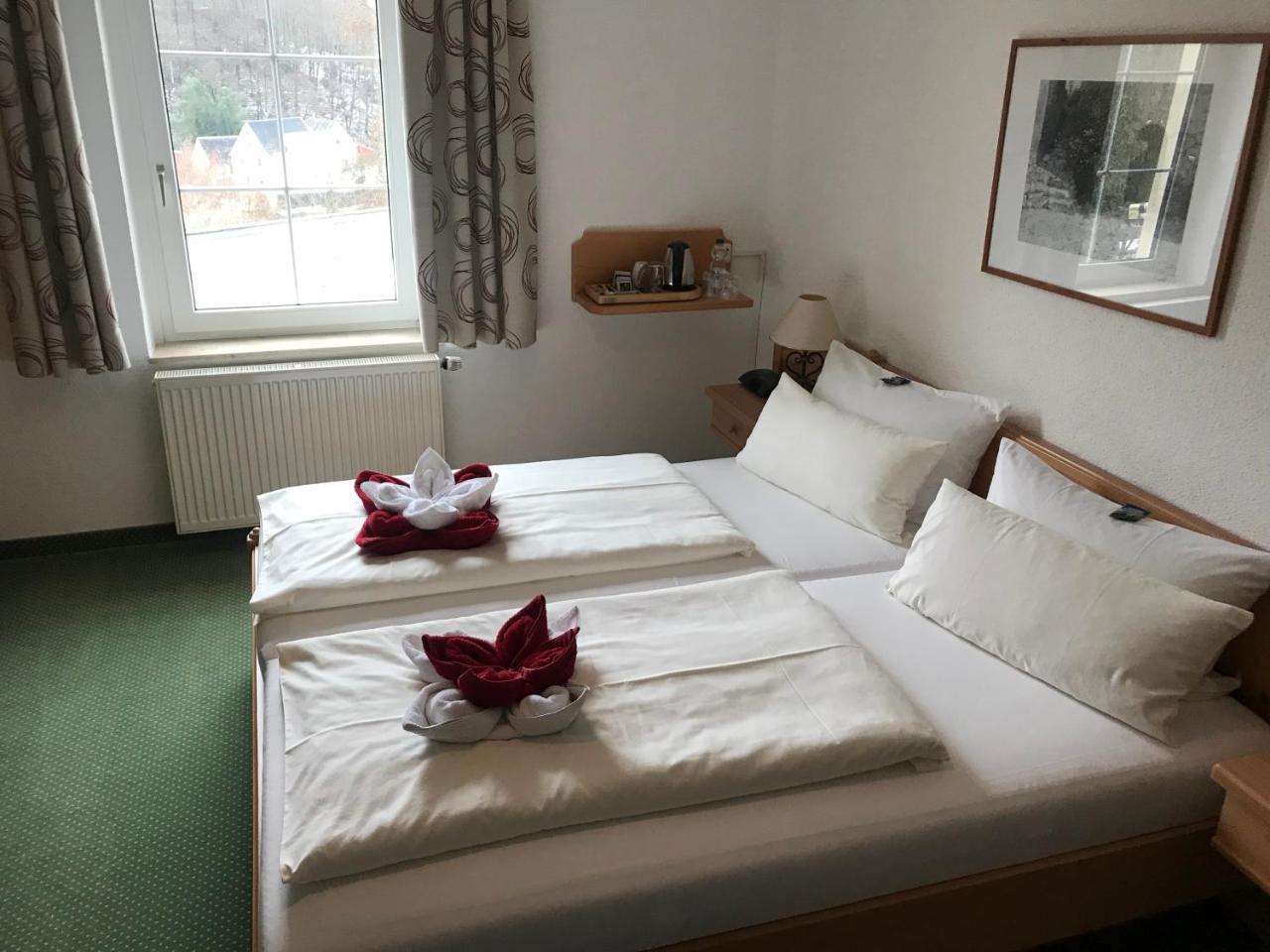 Muldenschlosschen Hotel Lunzenau Buitenkant foto